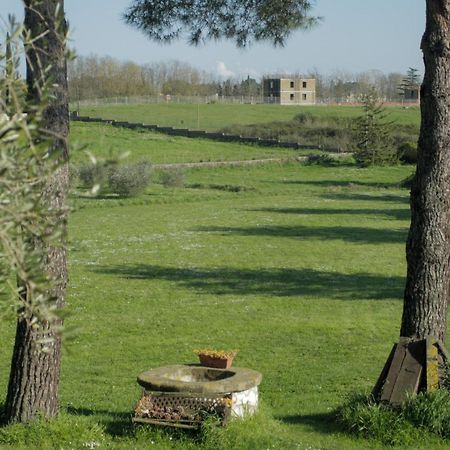 Il Casale Di Gardenia Bed & Breakfast Cesano Eksteriør bilde