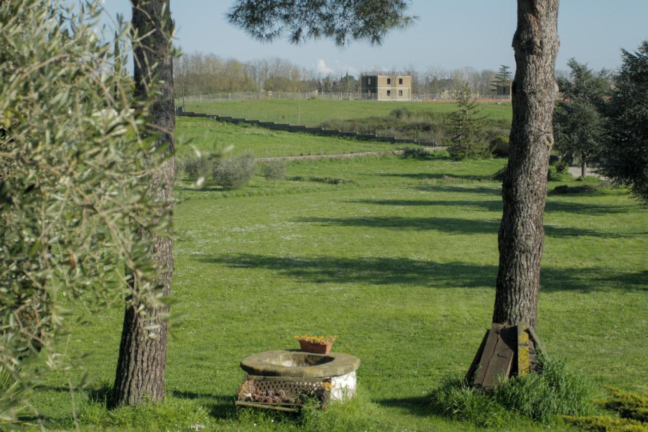 Il Casale Di Gardenia Bed & Breakfast Cesano Eksteriør bilde